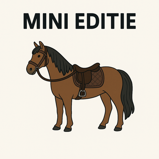 PREORDER: Adventskalender Mini editie (12 dagen)