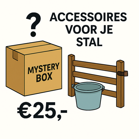 Mystery accessoires box