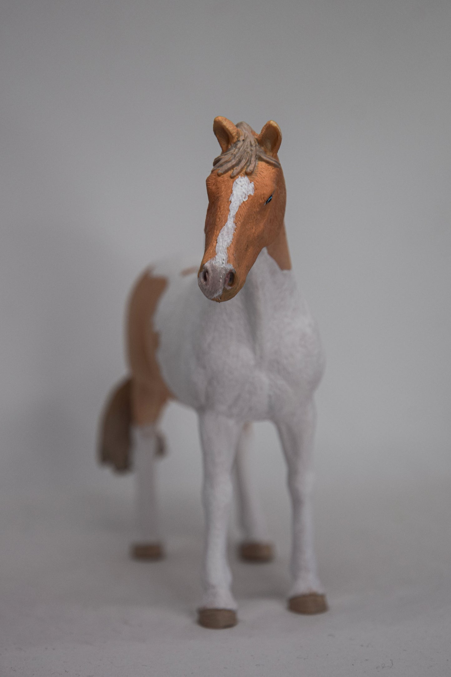 NIEUW Bont paard 'Trusty'