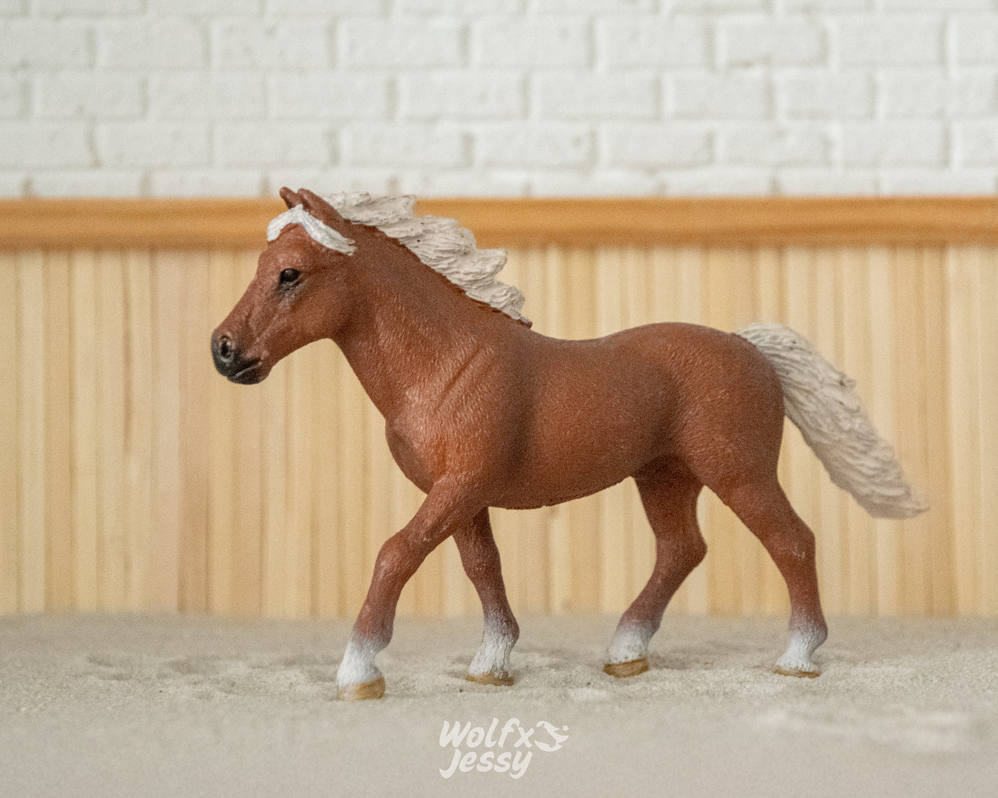 42481 Pony hengst