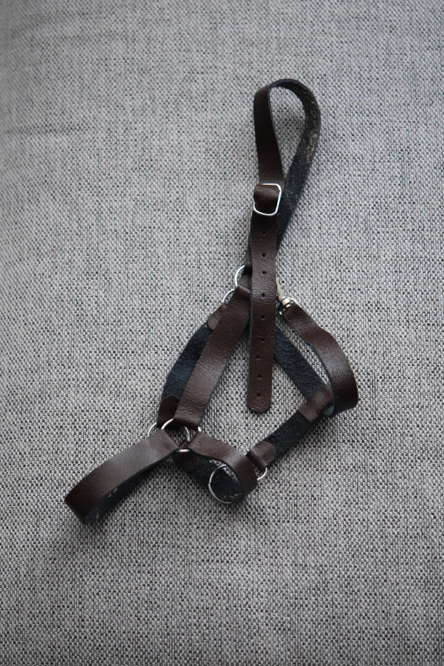 Hobby Horse Leren halsters