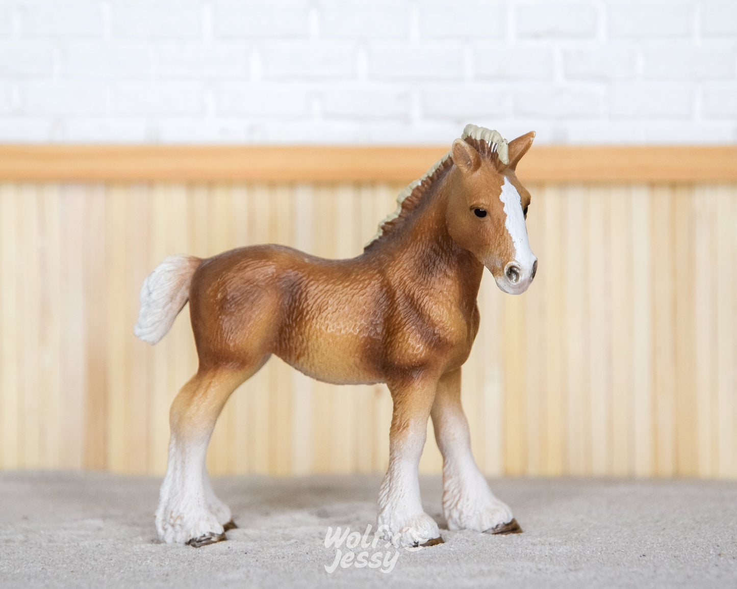 13671 Clydesdale jaarling