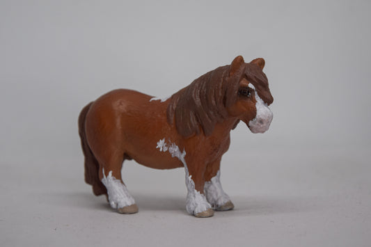NIEUW Shetlander 'Pewy'