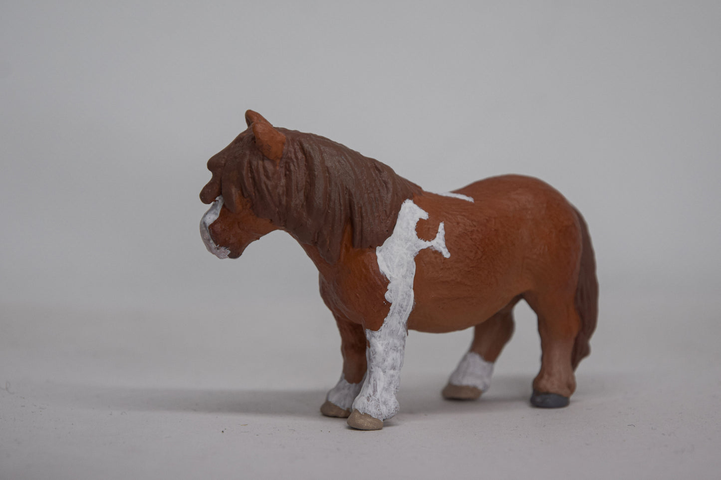 NIEUW Shetlander 'Pewy'