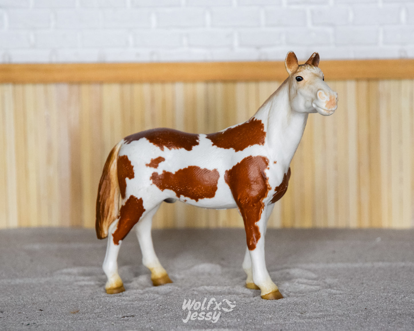 13241 Pinto hengst