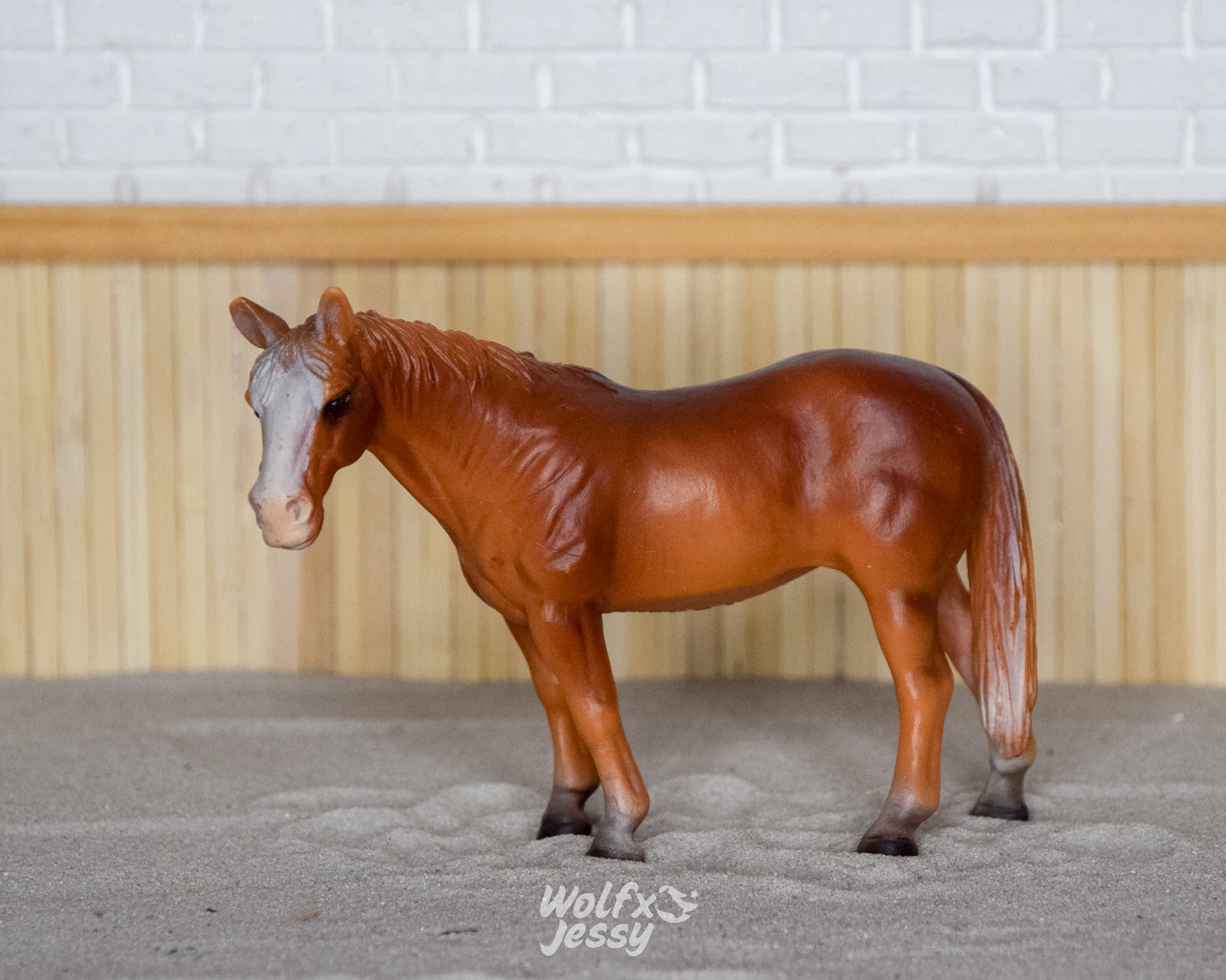 13251 Quarter horse merrie