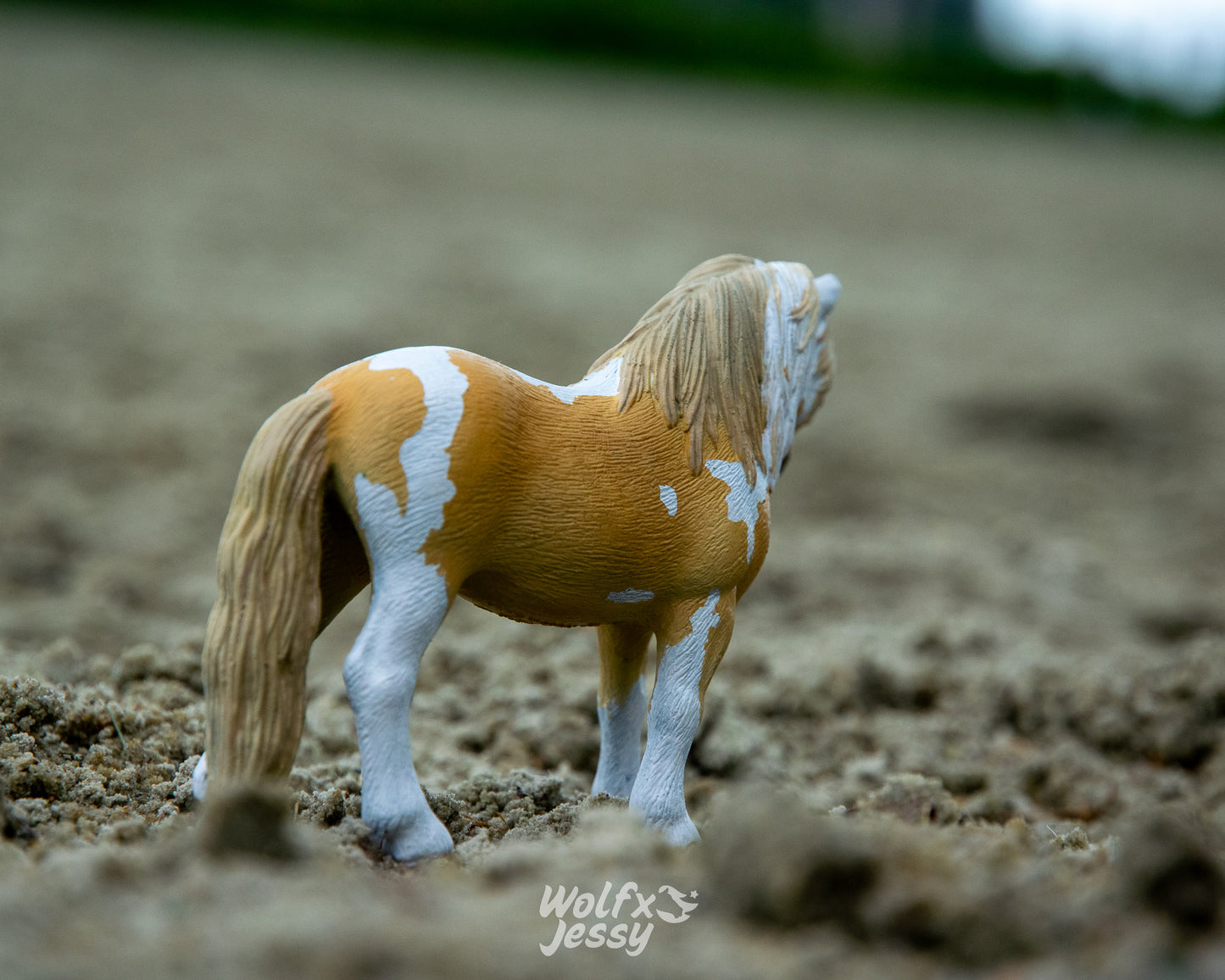 NIEUW Dartmore 'Dash'