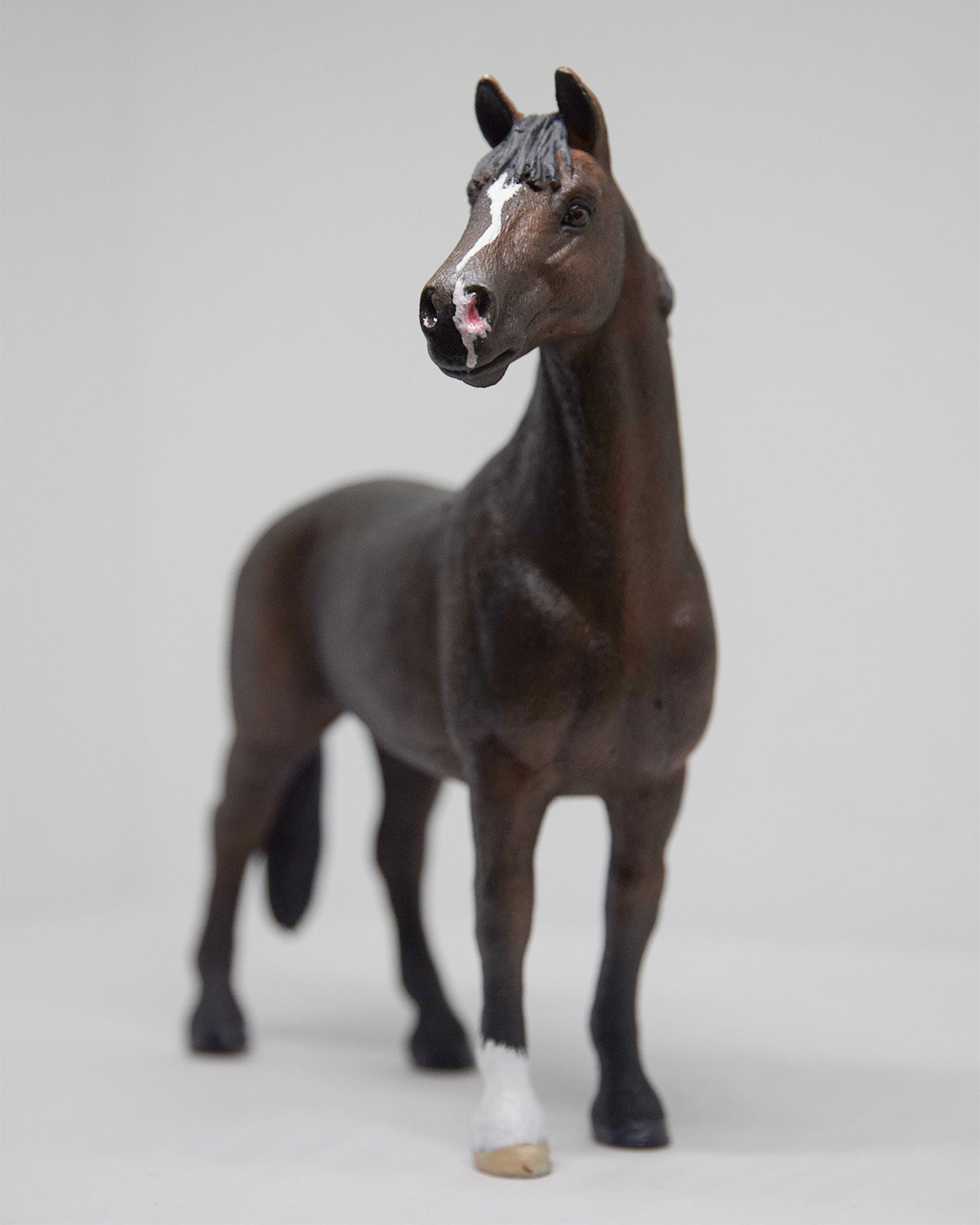 NIEUW Sportpaard 'Rocky'