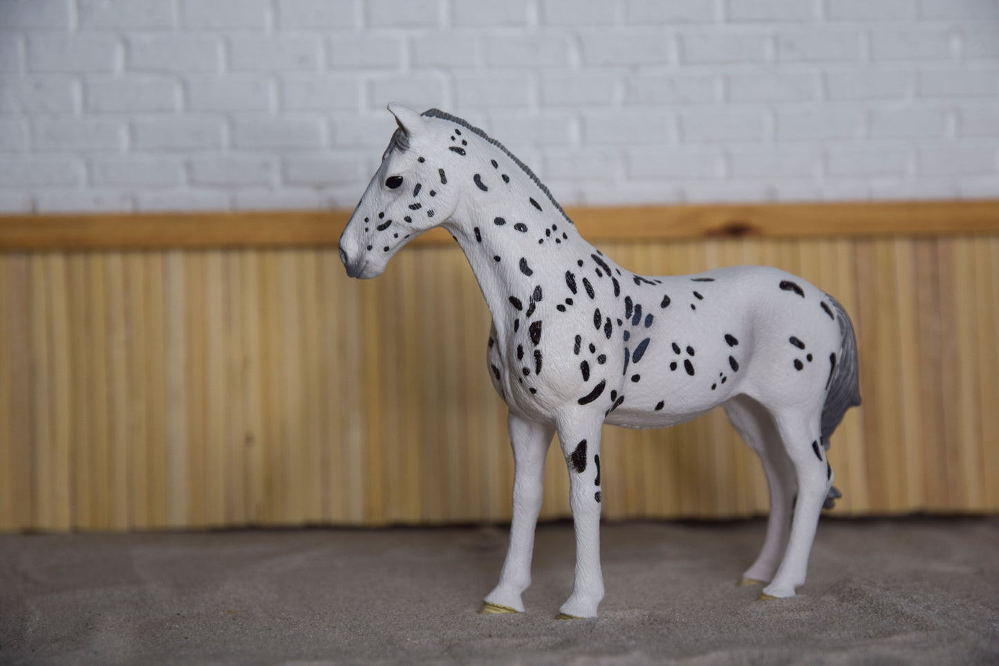 Knabstrupper merrie 13910