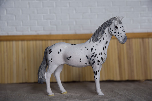 Knabstrupper merrie 13910