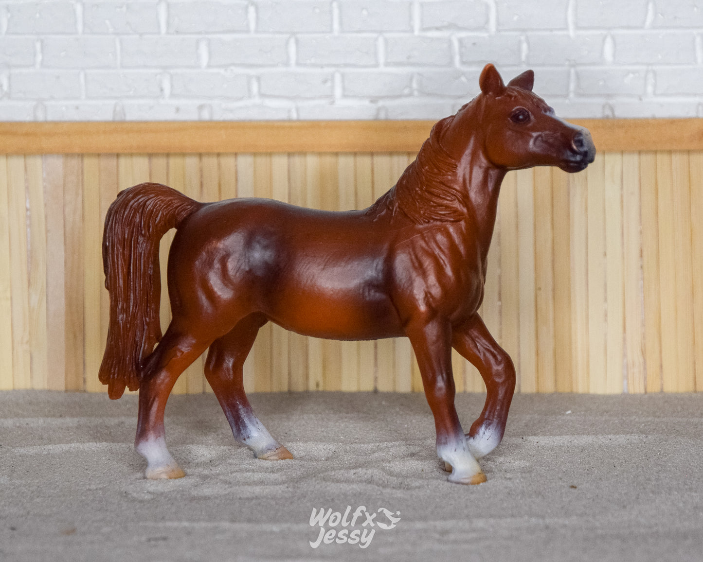 13253 Arabier merrie