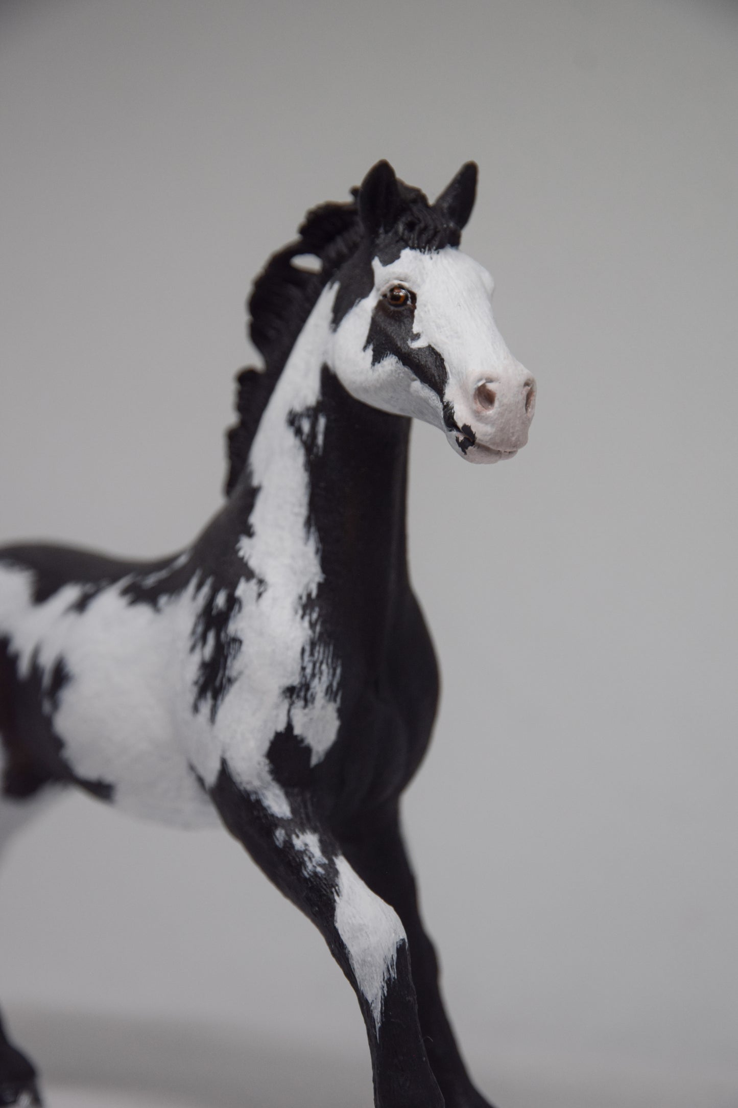 NIEUW Paint Horse ''Bonfire''
