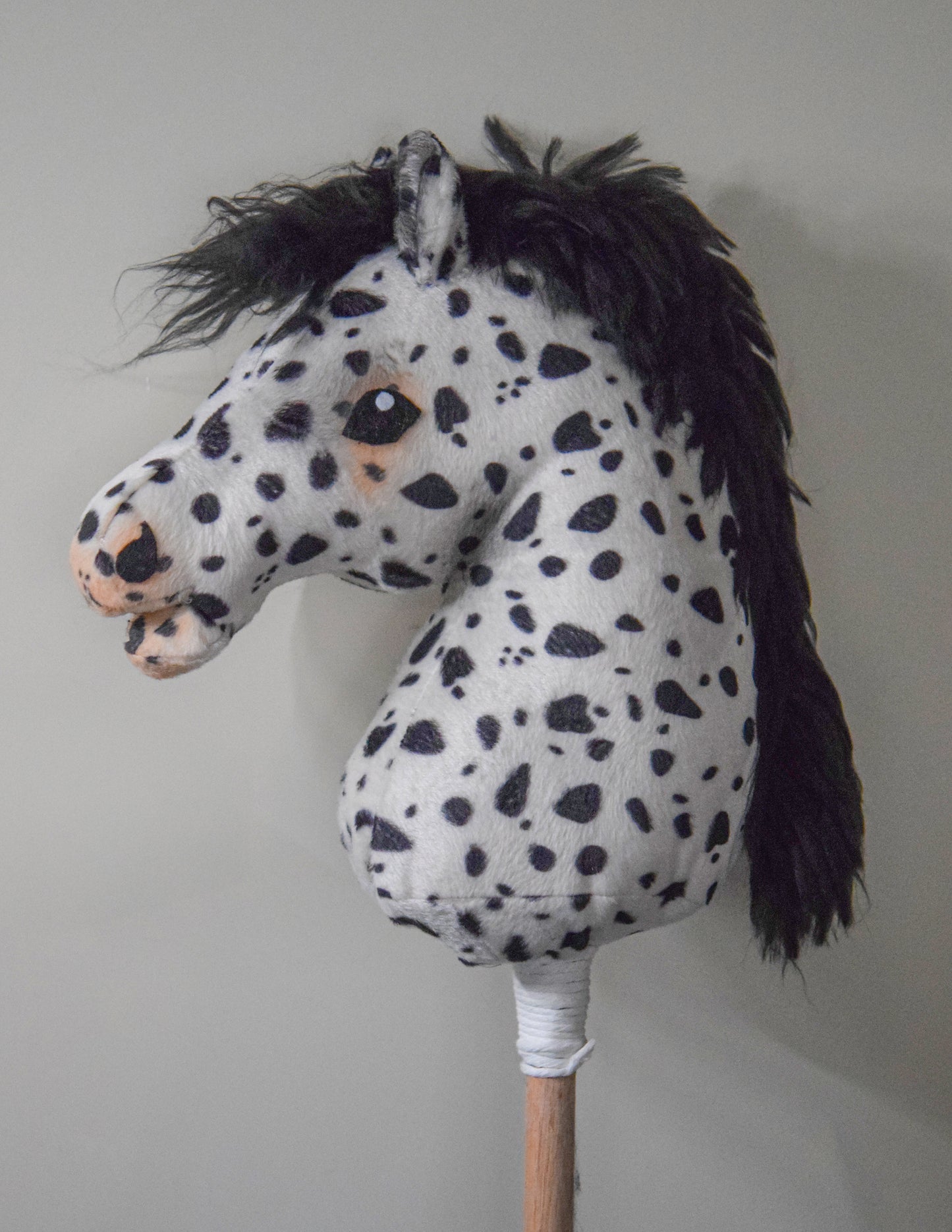Hobby Horse Stardancer