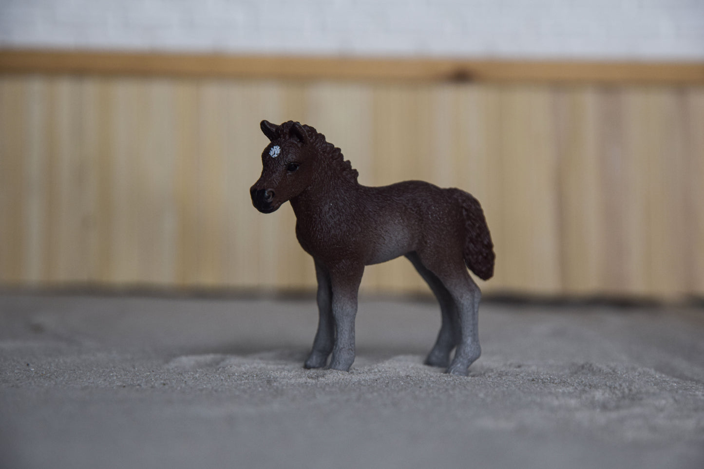 Dartmoor veulen uit set 42423