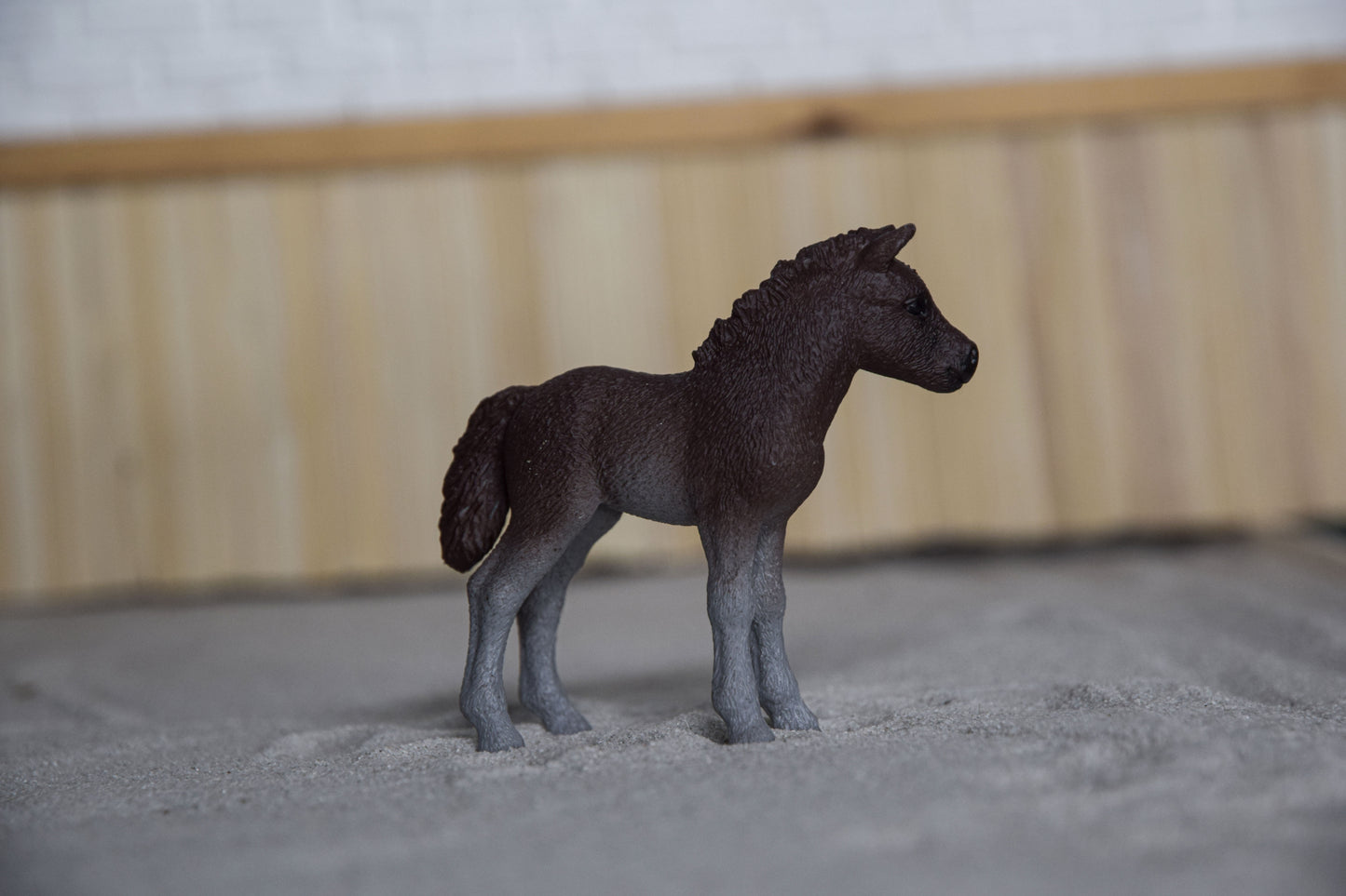 Dartmoor veulen uit set 42423