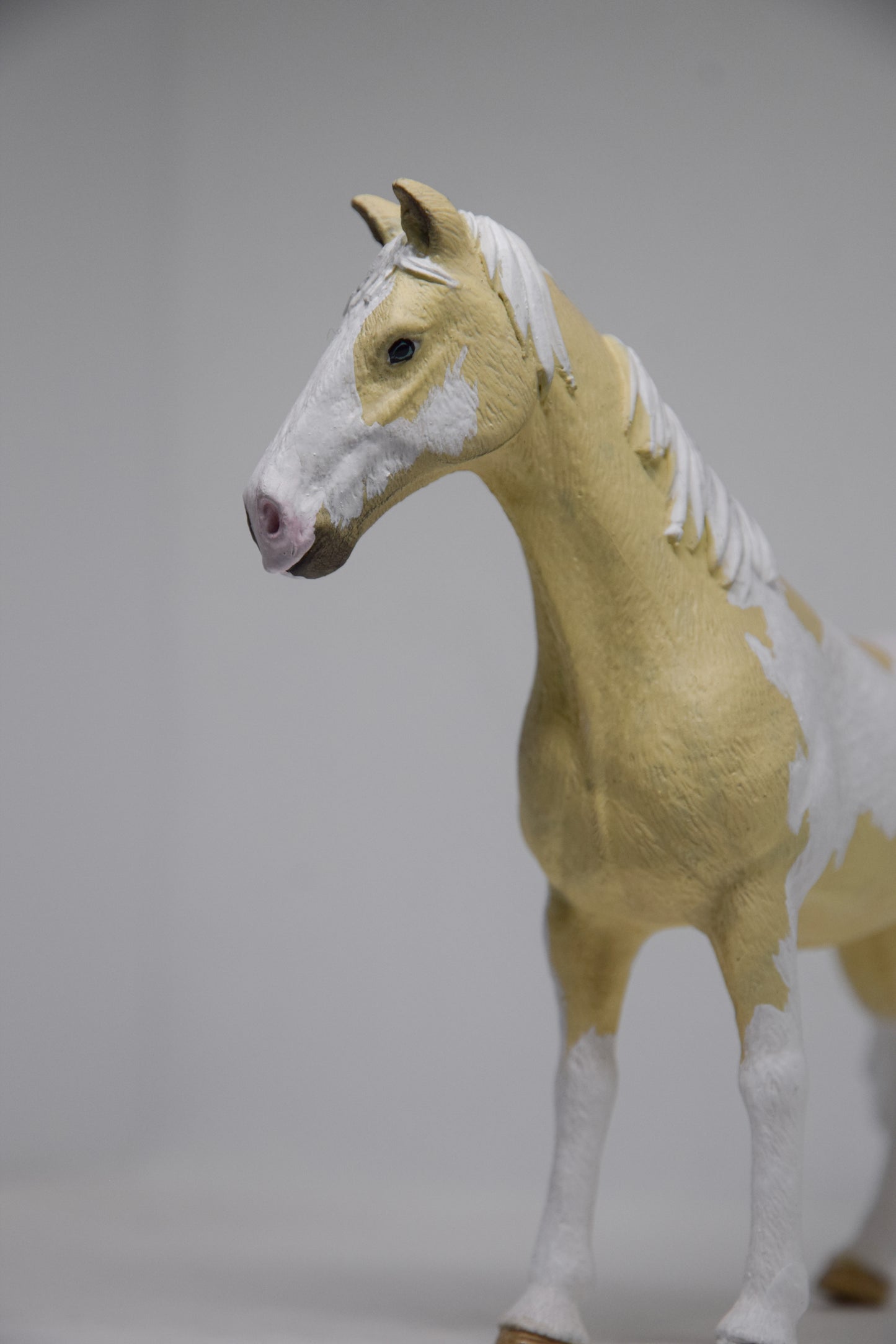 NIEUW Paint Horse 'Freckle'