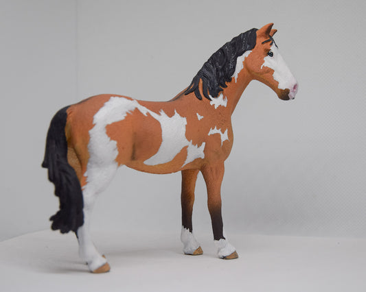 NIEUW Paint horse  'Alby'