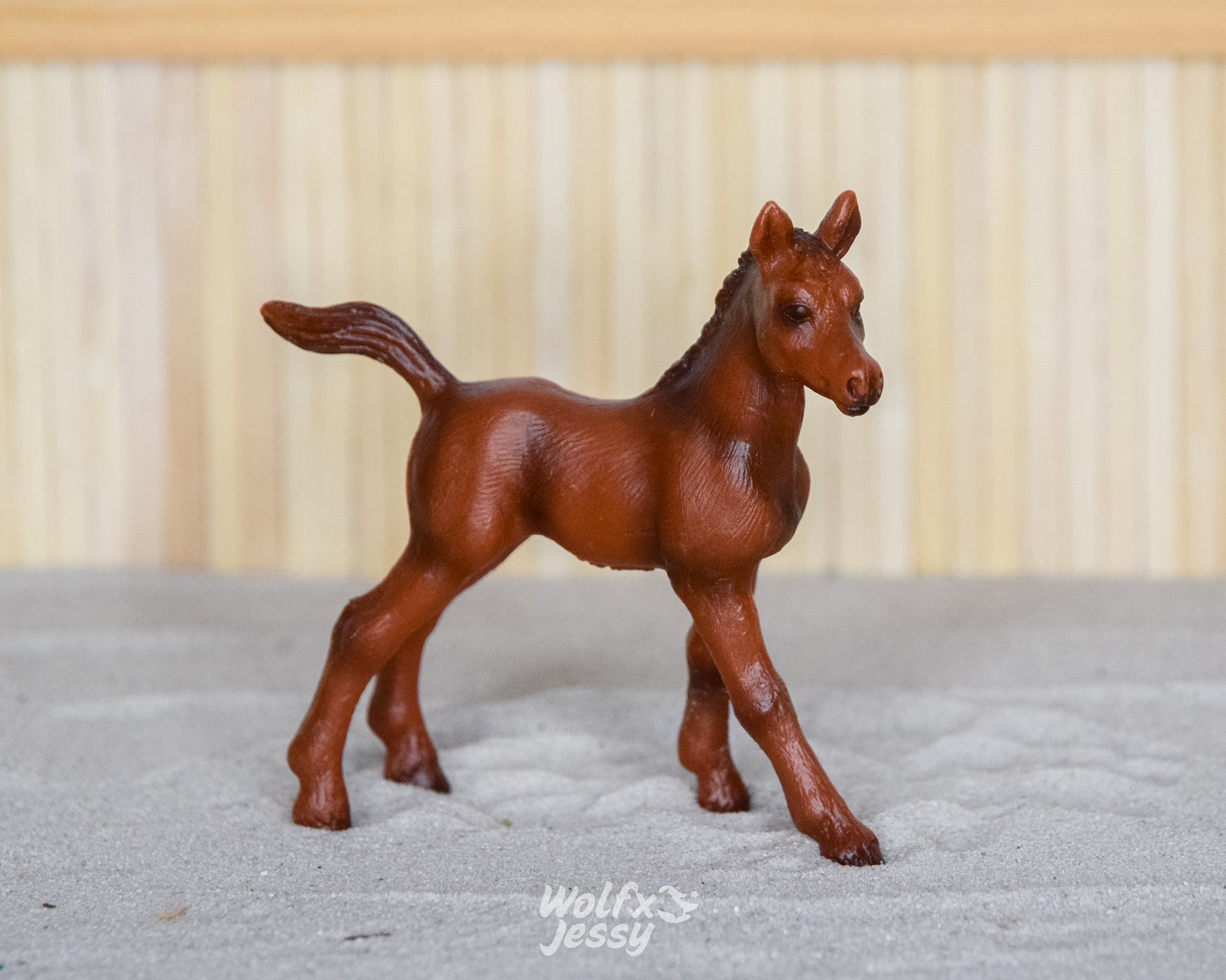 13115 Hannoveraan veulen