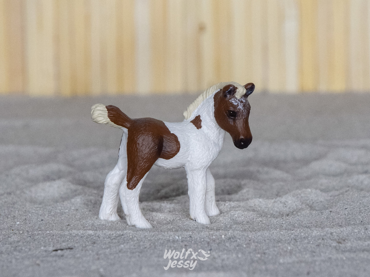 13687 Falabella veulen