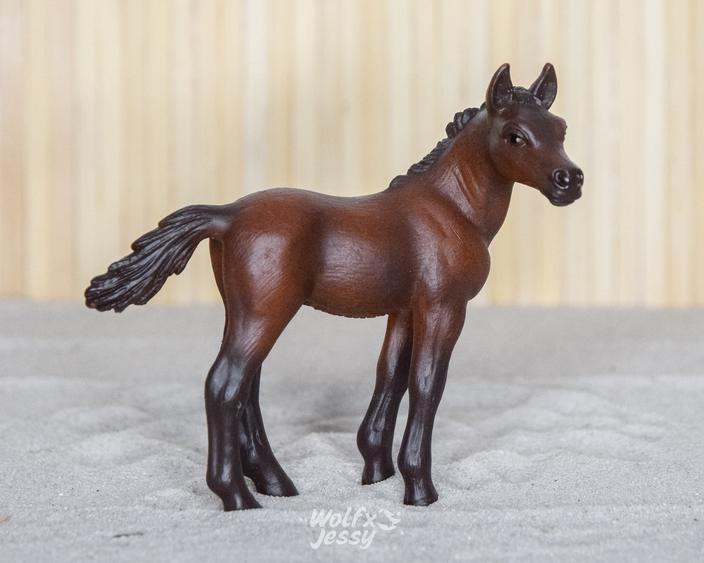 13276 Arabier veulen