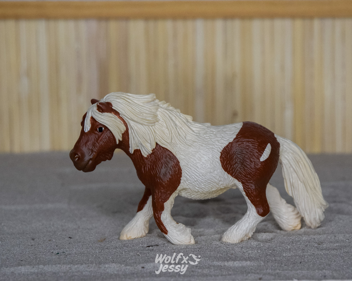 13297 Shetlander merrie