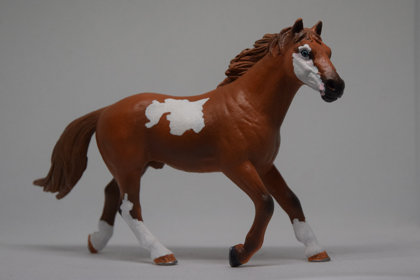 Paint Horse 'Oopsie'