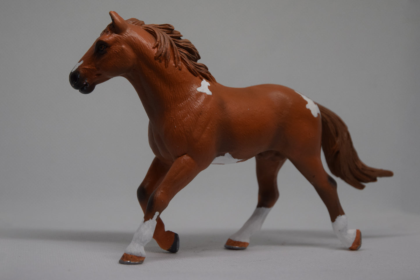 Paint Horse 'Oopsie'