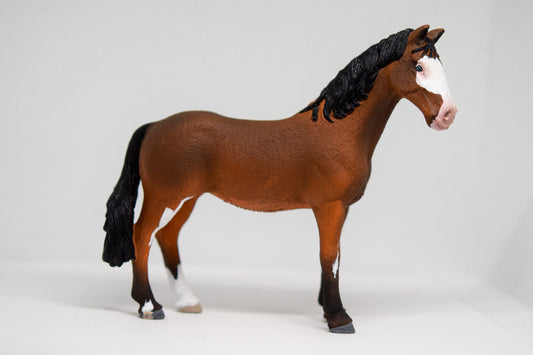 NIEUW Paint merrie 'Cherry'