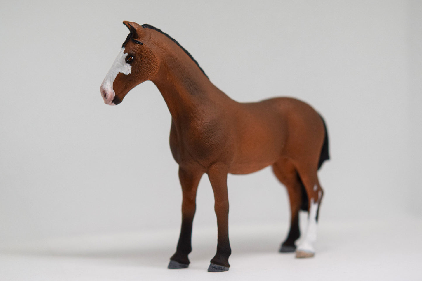NIEUW Paint merrie 'Cherry'