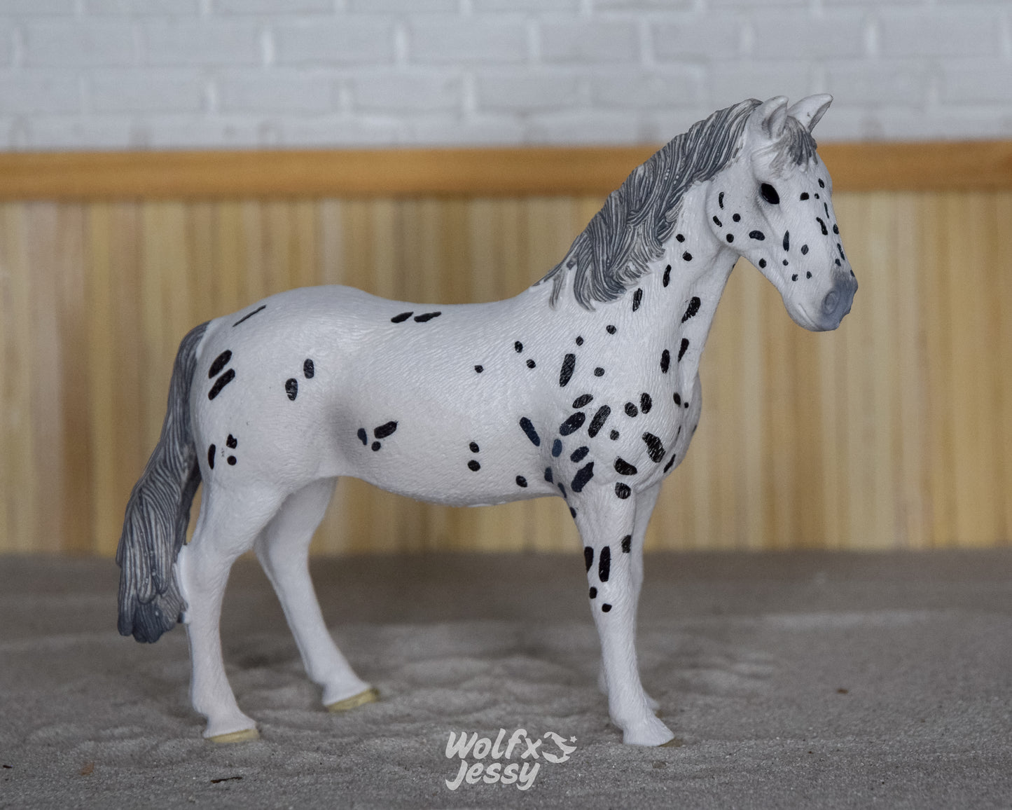 13910 Knabstrupper merrie