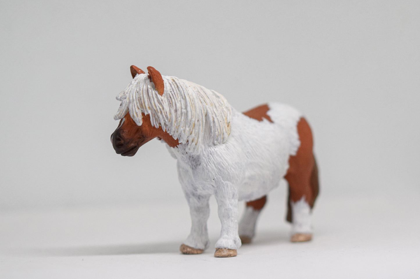 NIEUW Shetlander 'Cavi'