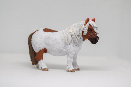 NIEUW Shetlander 'Cavi'