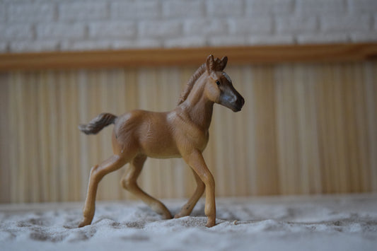 Collecta 88517 haflinger veulen