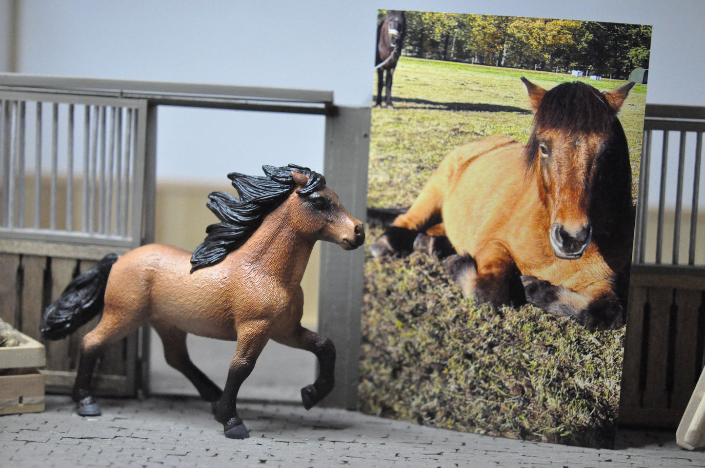 Schleich repaint op aanvraag