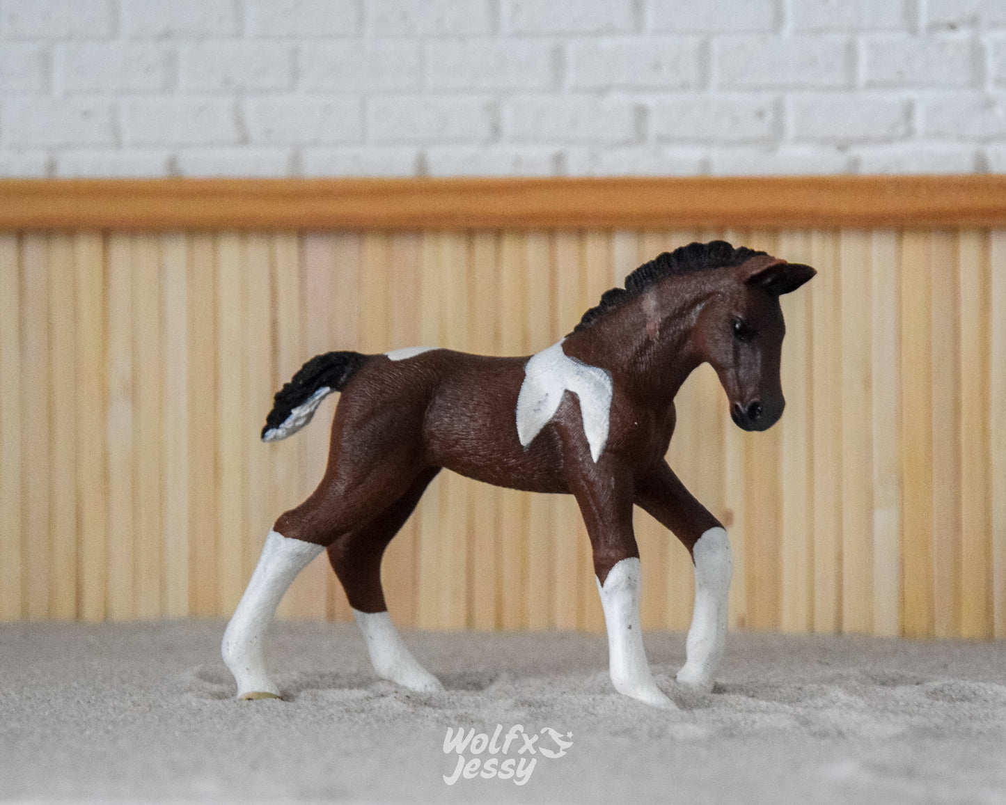 13758 Trakehner veulen