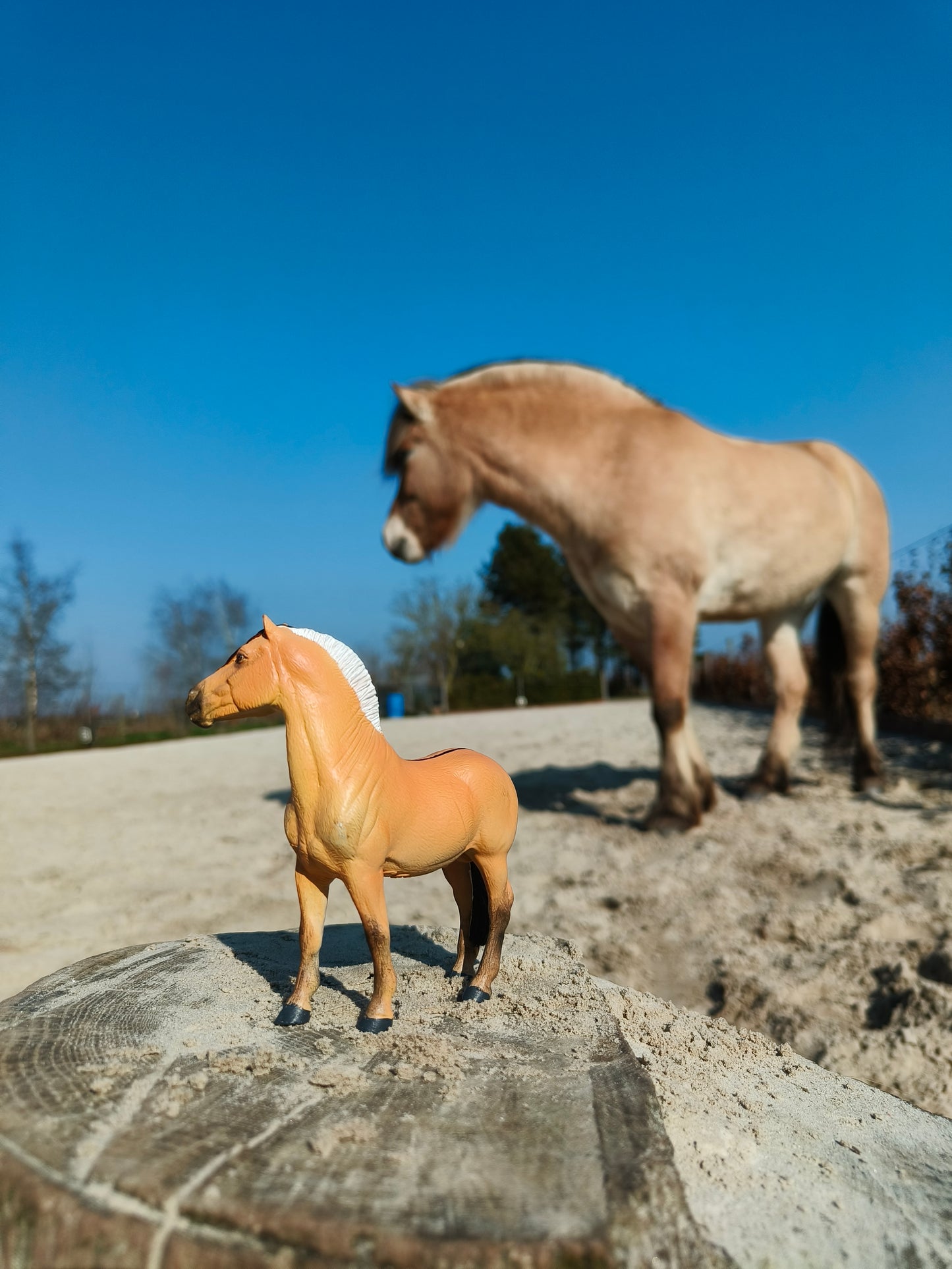 Schleich repaint op aanvraag