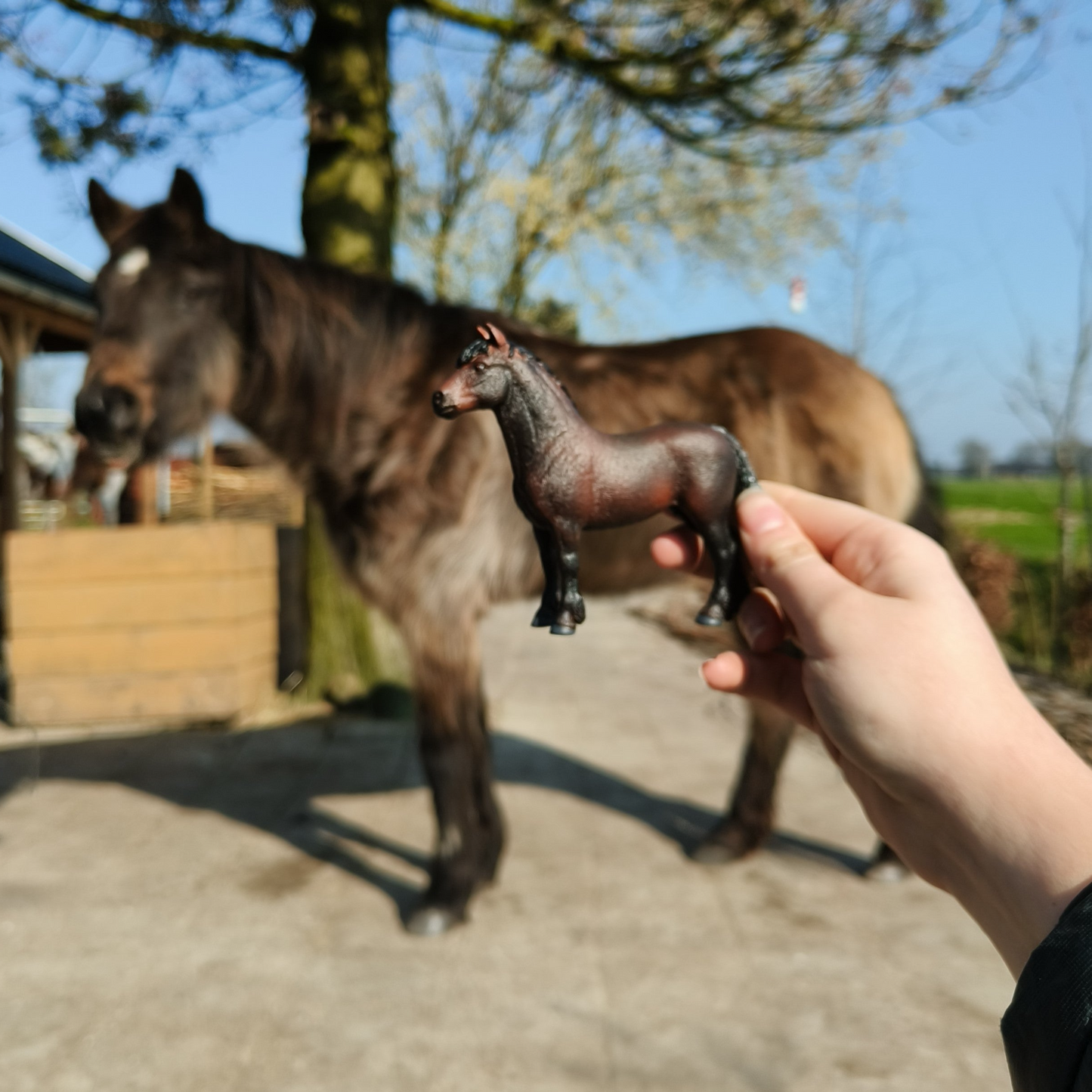 Schleich repaint op aanvraag