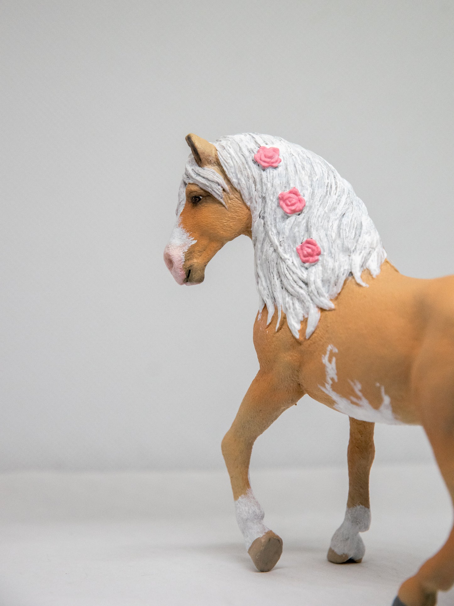 NIEUW Palomino 'Foxy'