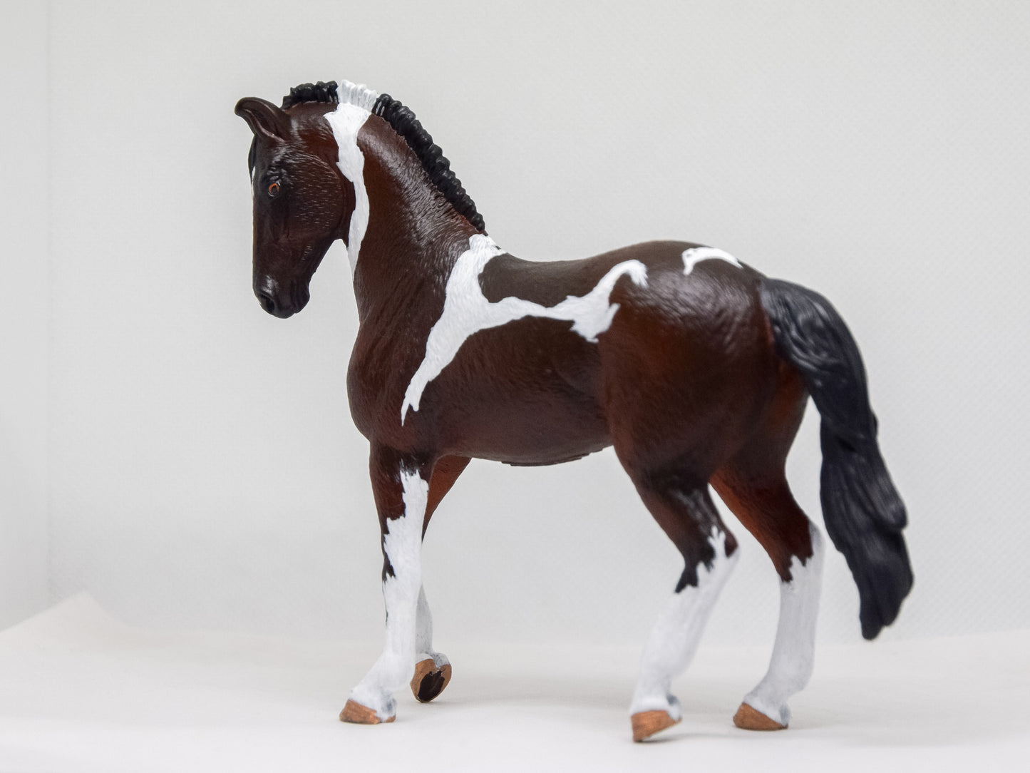 NIEUW SSO Marwari 'Tuxedo'