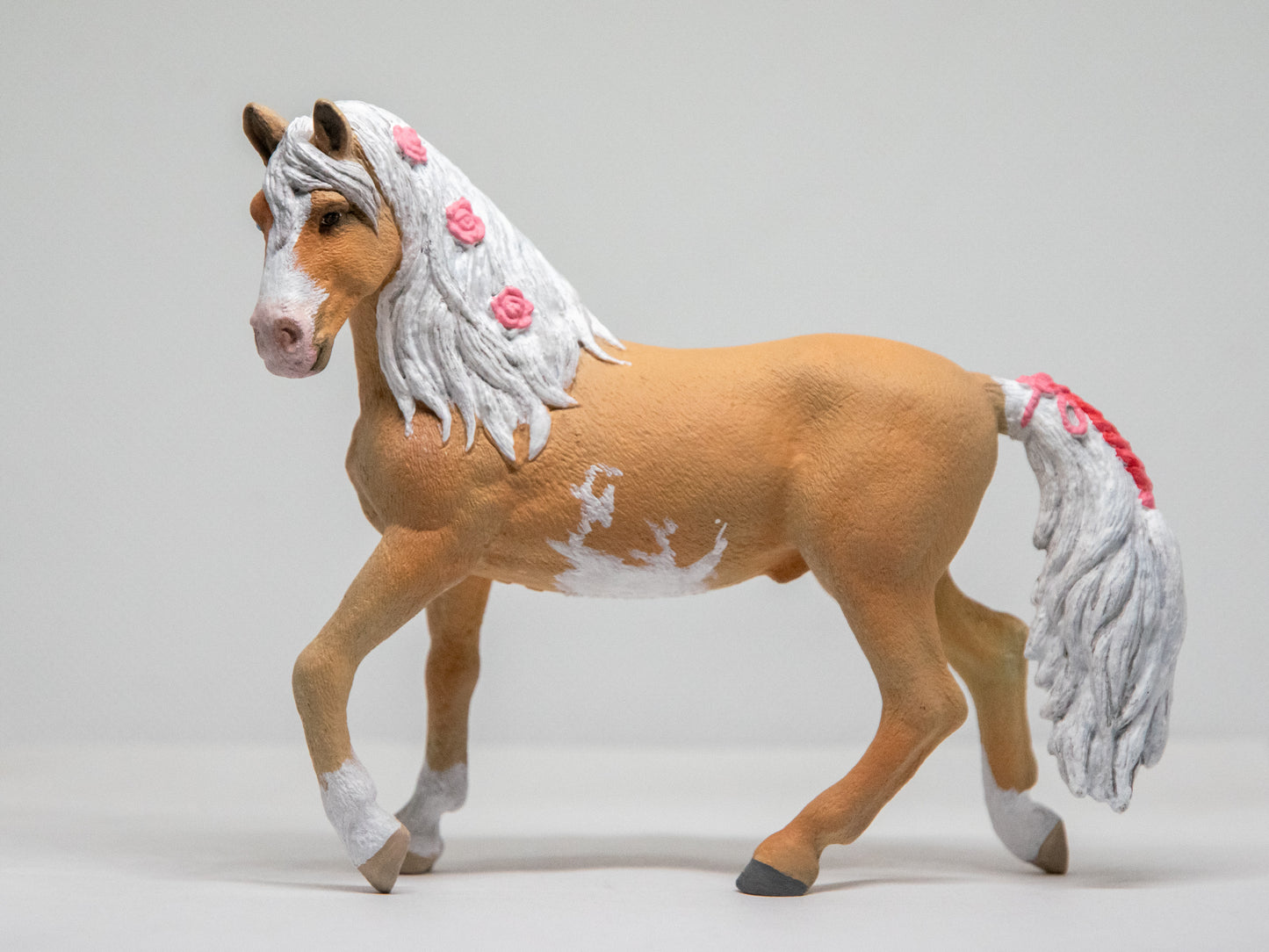 NIEUW Palomino 'Foxy'