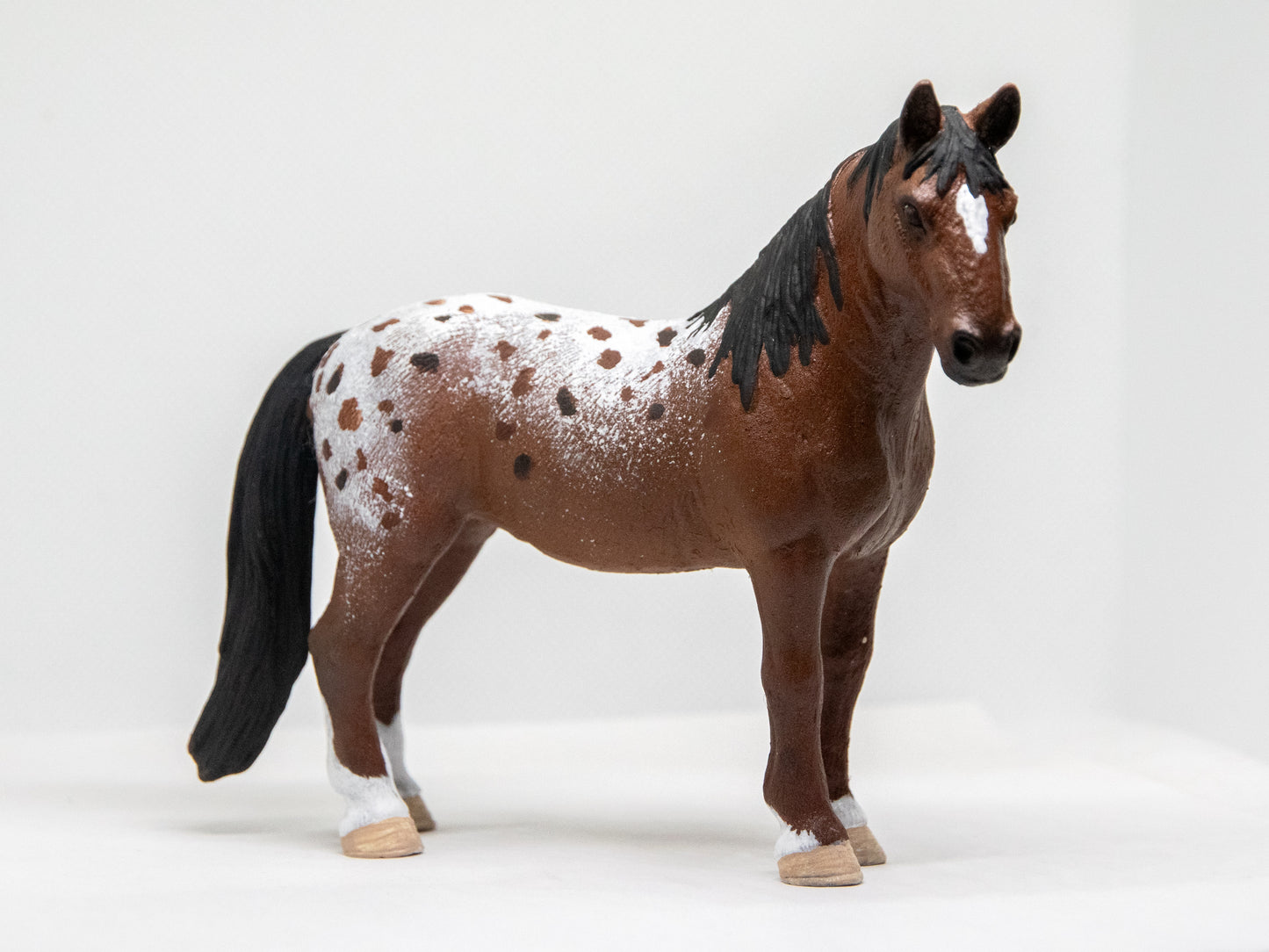 NIEUW Appaloosa 'Spotz'