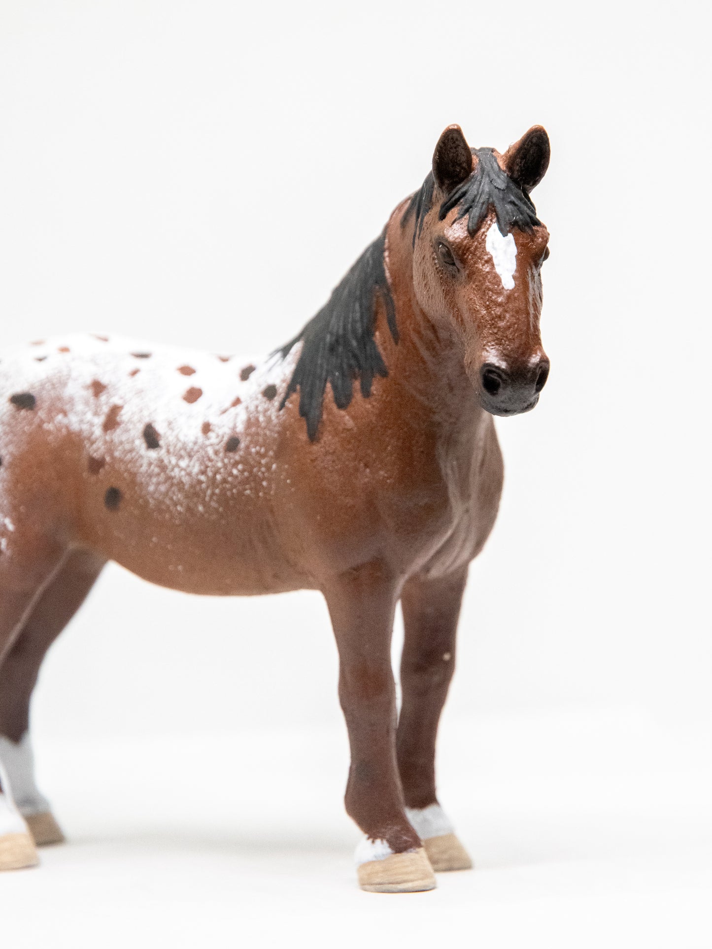 NIEUW Appaloosa 'Spotz'