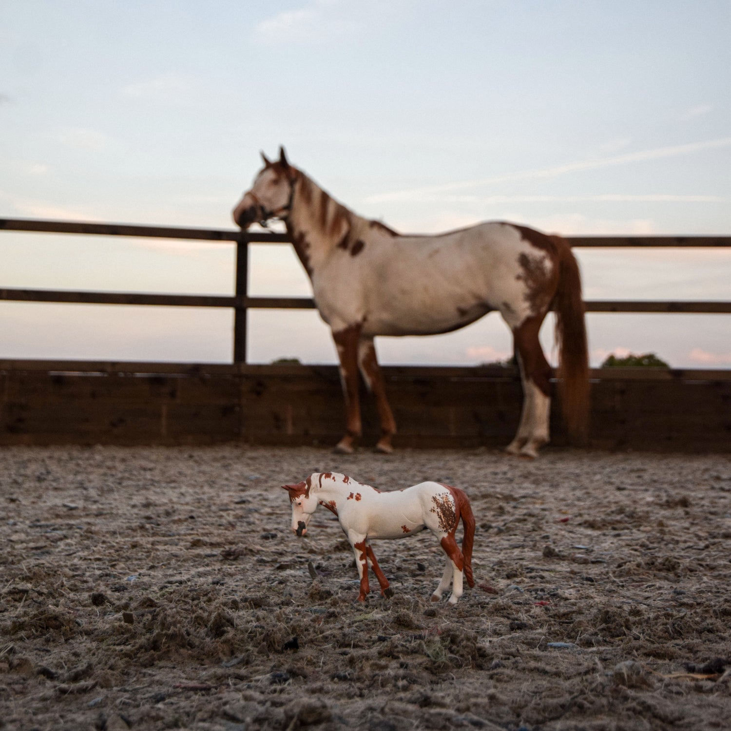 Schleich Repaints