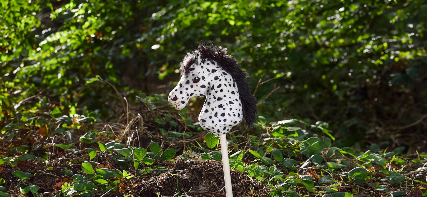 Hobbyhorses