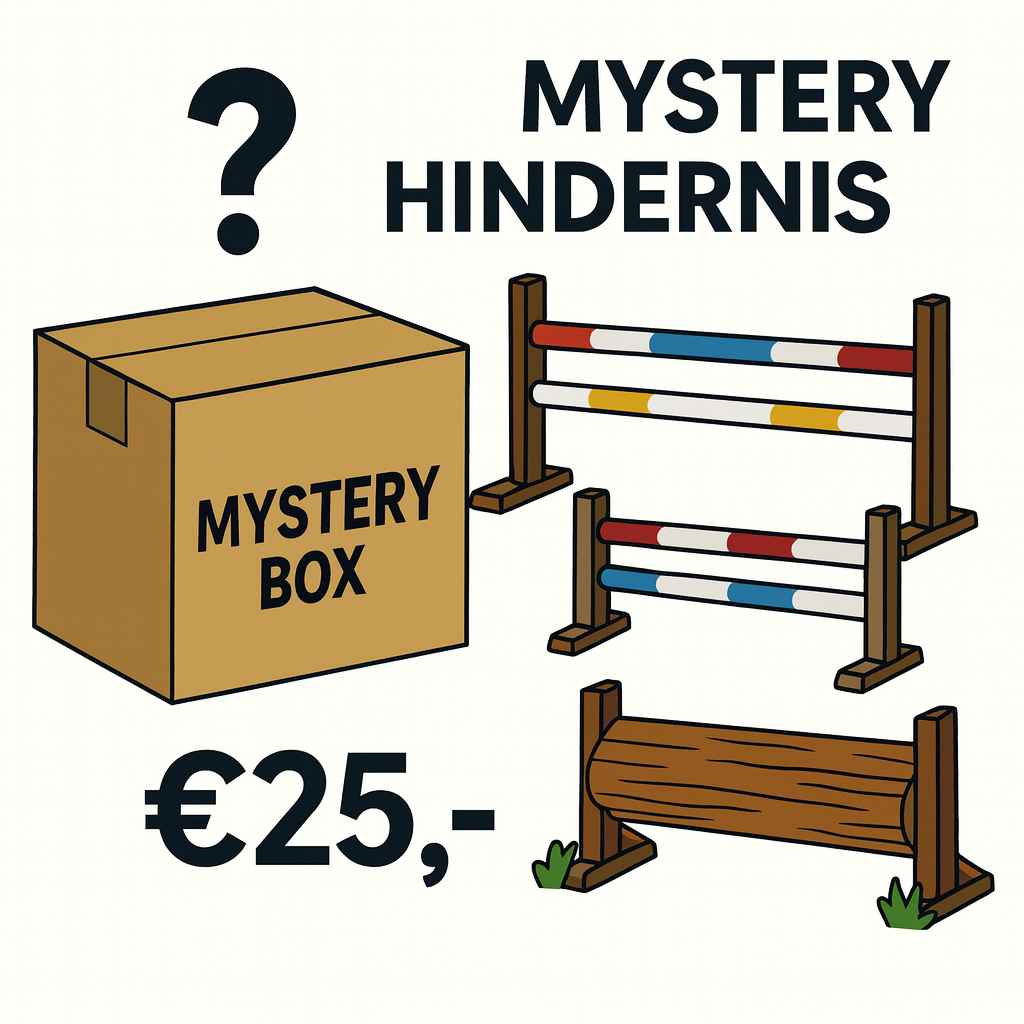 Mystery Hindernis box