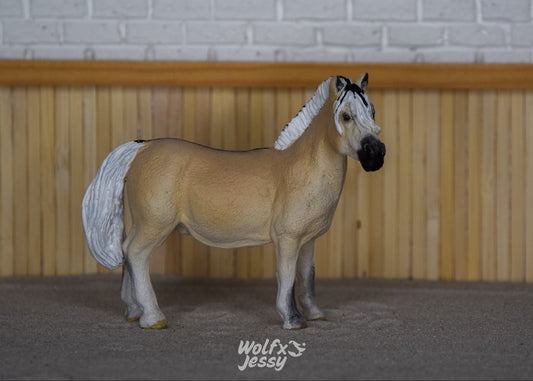 NIEUW Fjord pony 'Robin'