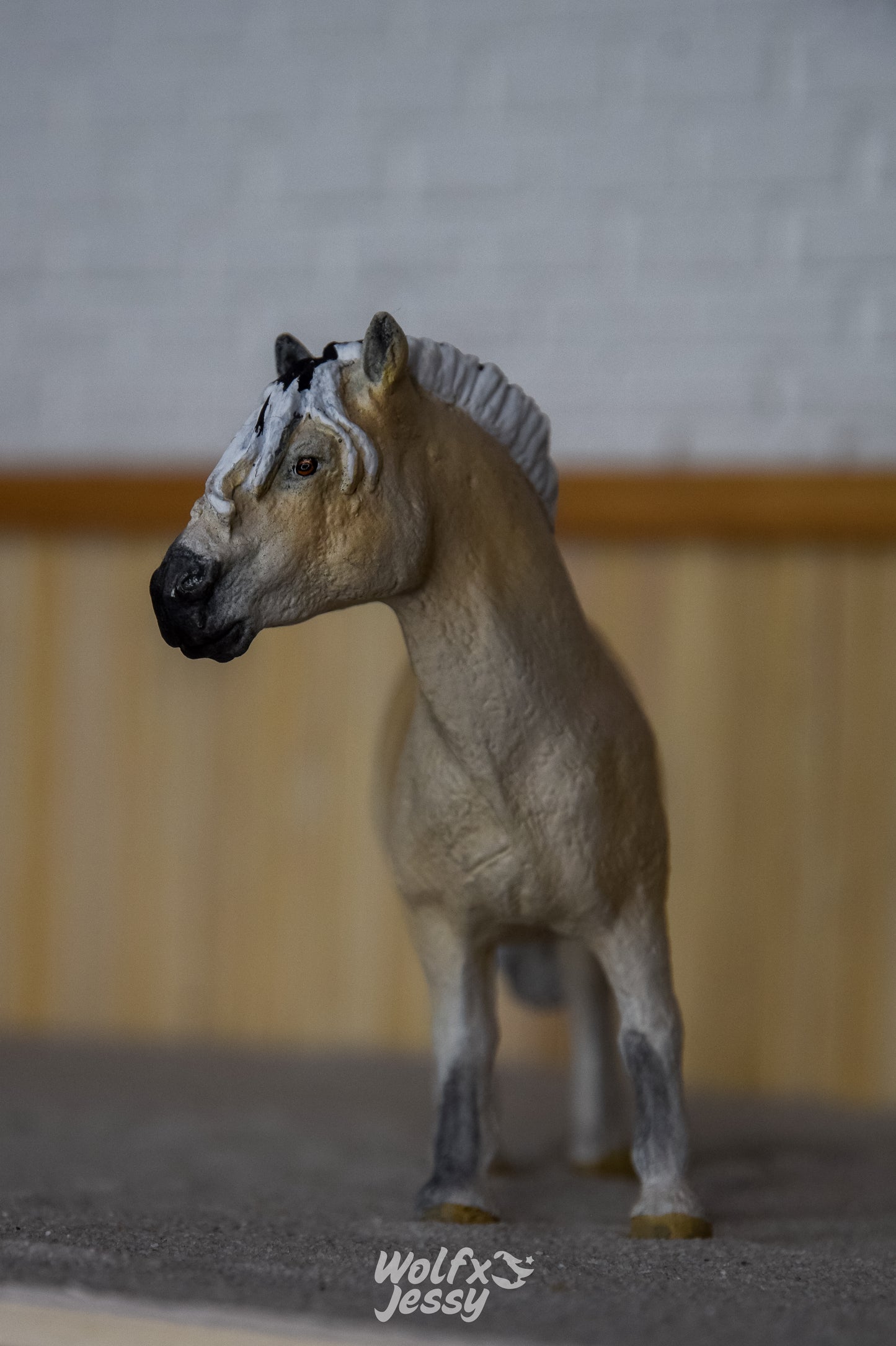 NIEUW Fjord pony 'Robin'