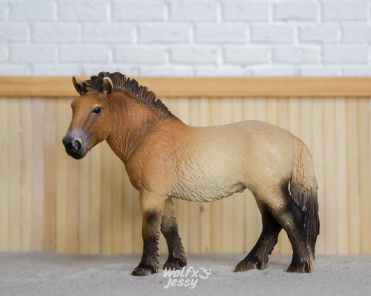 13620 Przewalski pony