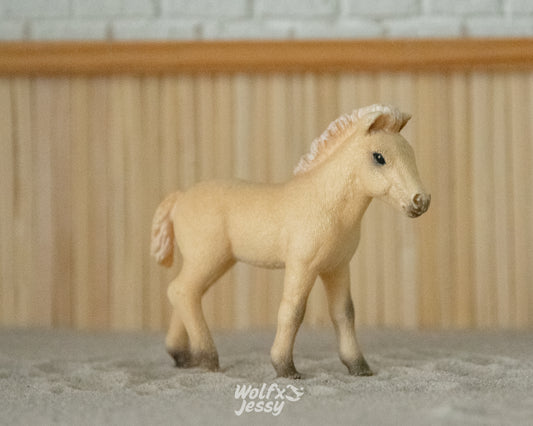 13755 Fjord veulen