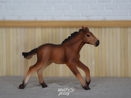 13807 Mustang veulen